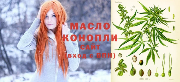 spice Новодвинск