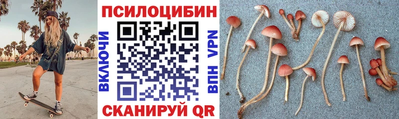 гидра ТОР  сколько стоит  Николаевск-на-Амуре  Галлюциногенные грибы Psilocybe 